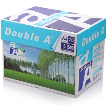 Double A A4 80克复印纸 5包/箱