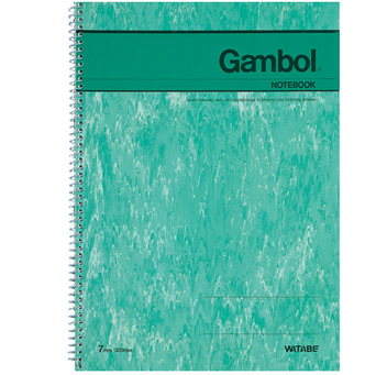 渡边GAMBOL A5（50页/本）螺旋装订笔记本S5503（148*210mm）杂色1X12本