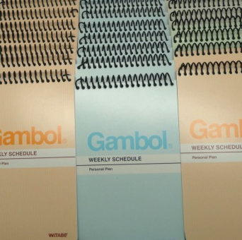 渡边 (Gambol) WCN-SA7506 A7 50页 螺旋装订本（24本/包）