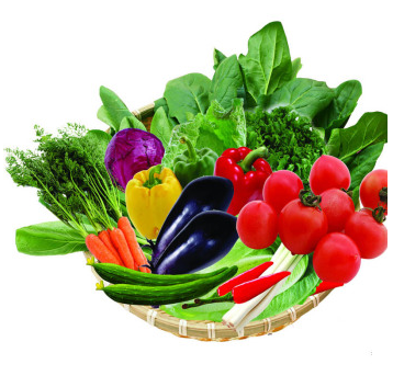 [众谷蔬菜]生态蔬菜礼盒C款蔬菜礼盒7500g