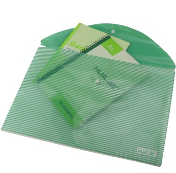 华杰（HUA JIE） EN1000 丝印条纹文件袋 12个/包 