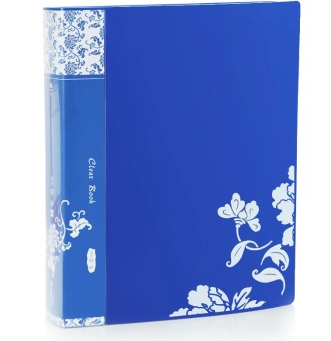 广博（GuangBo） A3021 10页资料册（青花系列）多色