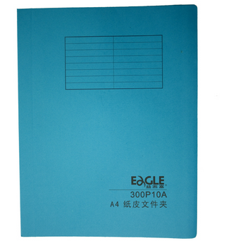 益而高（EAGLE）3001-P001带兜纸质文件整理夹:A4,容纸50页 # 20张包