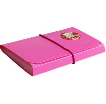 金得利（KINARY） F4403 欢乐色风琴包票据包 