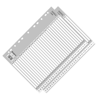 齐心（COMIX）IX899 易分类 月度索引纸 A4 31页(1-31) 11孔 PP