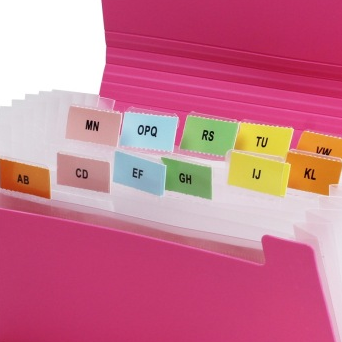 金得利（KINARY） F4403 欢乐色风琴包票据包