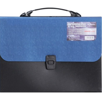 金得利（KINARY） SP8205A 13格A4 风琴包资料文件包 蓝色