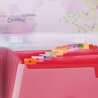 金得利（KINARY） DC1402 A4 13层可分类追梦系列手提风琴包/资料包/文件包