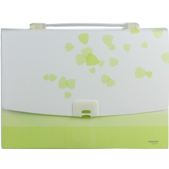 金得利 DC4016 A4多色13格风琴包办公包