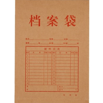 齐心(COMIX)AP-118 本色高档纯木浆牛皮纸档案袋/文件袋/资料袋 A4 30mm 竖式 10个装