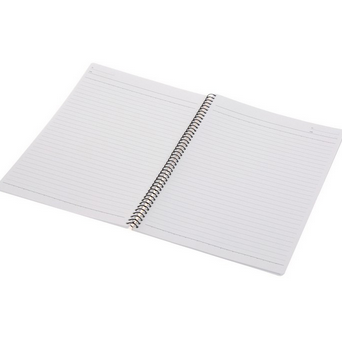 渡边GAMBOL A5（50页/本）螺旋装订笔记本S5503（148*210mm）杂色1X12本