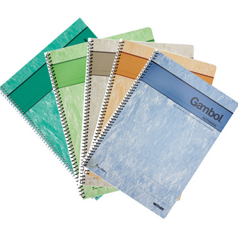 渡边GAMBOL A5（50页/本）螺旋装订笔记本S5503（148*210mm）杂色1X12本