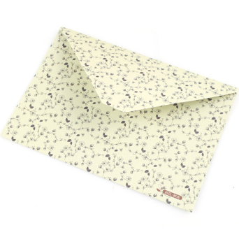 风彩 创意青花信封套装明信片收纳信封 10个装