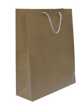 国产 进口 中号 250g 竖式 棉绳黄浆牛皮纸袋（10个/包） 28*37*10 牛皮纸色