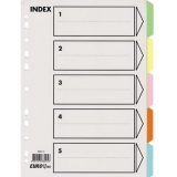 易达(Esselte)纸质索引 #SL-88005N A4，五色索引