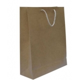 国产 进口 中号 250g 竖式 棉绳黄浆牛皮纸袋（10个/包） 28*37*10 牛皮纸色