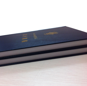 成文厚 借贷式110 账本总分类帐19*26.2cm 16K 手工做账总账200页/本