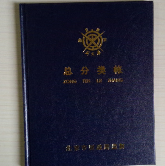 成文厚 借贷式82 财务会计手工记账本 小总分类帐17*22cm账册账页总账本