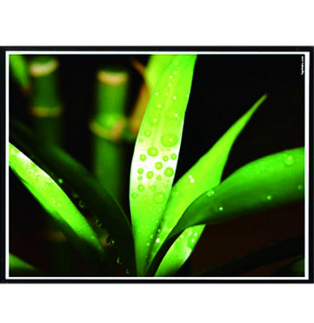 红叶 100寸 电动遥控 投影幕布 2.03*1.52