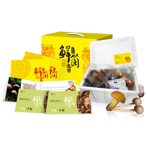 天赐系列398型鲜菌美味牛肝菌