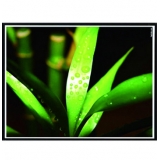 红叶 100寸 电动遥控 投影幕布 2.03*1.52