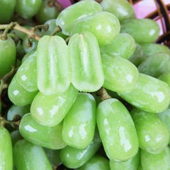 [生态水果] 美国青无籽提水果礼盒4500g