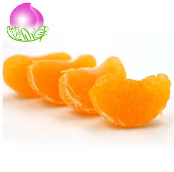 [生态水果] 四会砂糖橘水果礼盒4000g