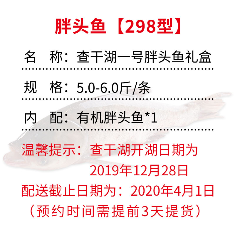 查干湖一号胖头鱼5.0-6.0斤