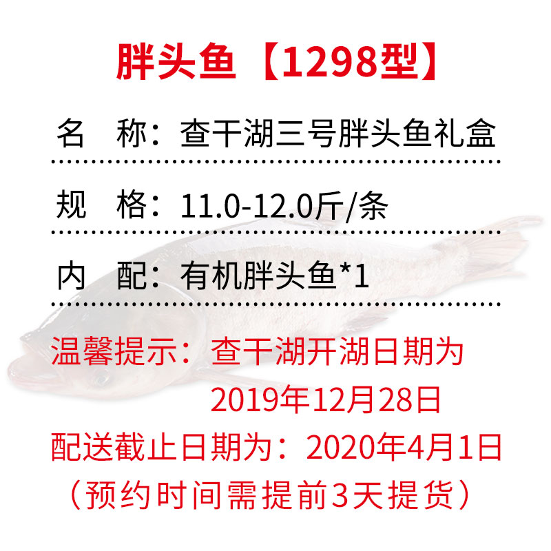 查干湖三号胖头鱼11.0-12.0斤