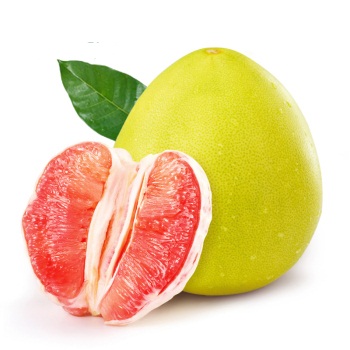 [生态水果]  红心蜜柚水果礼盒5500g