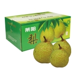 [生态水果] 山东莱阳梨水果礼盒7500g